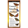 Common Butterflies of the Northeast Folding Guide, close-up showing detailed butterfly illustrations and identification tips on a durable, laminated six-panel portable guide.