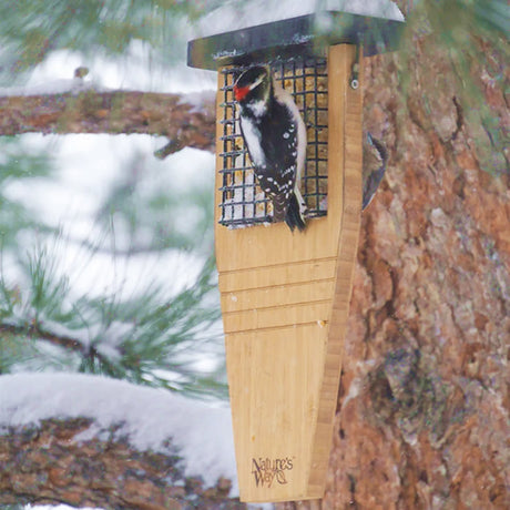 Bamboo Suet Tail Prop Bird Feeder with a woodpecker perched on the feeder, showing its extended tail-prop design and two-sided wire mesh for feeding.