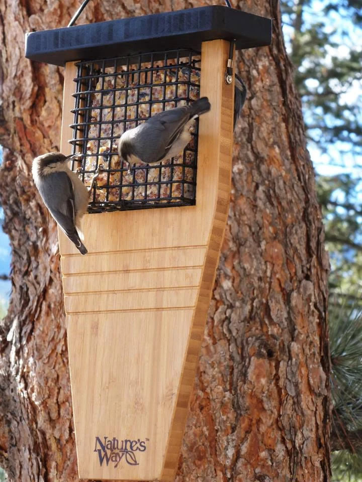 Bamboo Suet Tail Prop Bird Feeder with tail-prop design, two-sided wire mesh, and grooves for bird clinging. Made from durable bamboo, ideal for attracting woodpeckers.