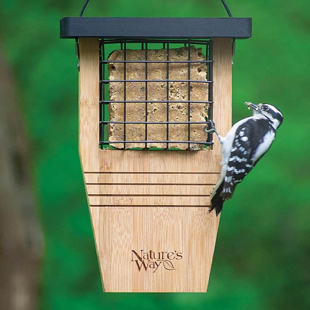 Bamboo Suet Tail Prop Bird Feeder with a downy woodpecker feeding, featuring a two-sided wire mesh and extended tail-prop for better bird grip.