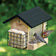 Bamboo 3QT Hopper Bird Feeder with Suet features a black roof, seed chamber, wire-caged suet, and finches feeding, highlighting Nature’s Way logo.