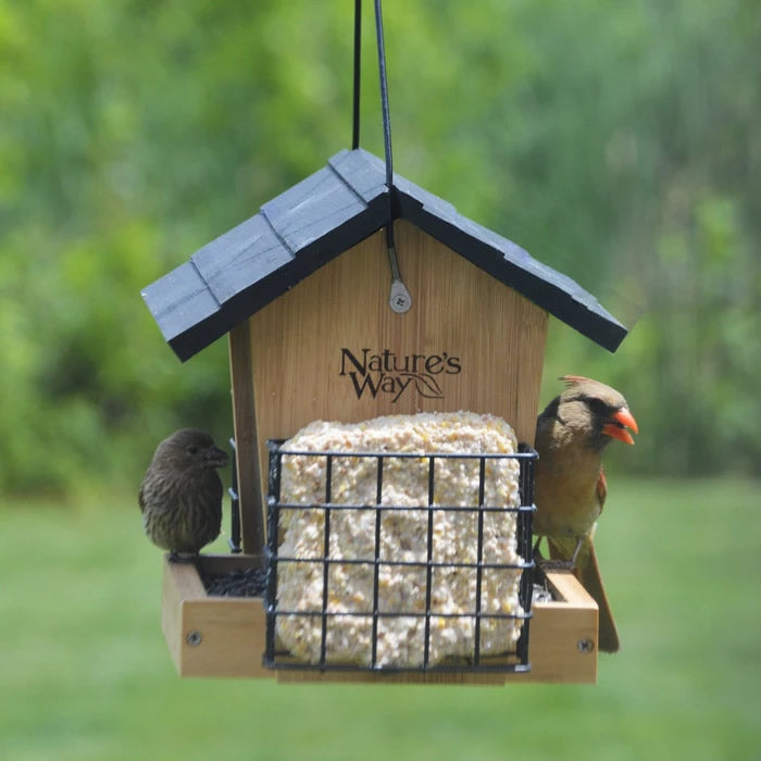 Bamboo 3QT Hopper Bird Feeder with Suet, featuring two birds perched on it, showcasing spacious design and suet holders for larger birds like cardinals.