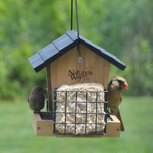 Bamboo 3QT Hopper Bird Feeder with Suet, featuring two birds perched on it, showcasing spacious design and suet holders for larger birds like cardinals.