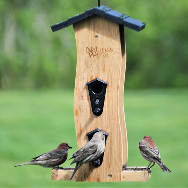 Bamboo Vertical Wave Bird Feeder with birds feeding at multiple ports and seed tray. Includes clear windows, steel hanging cable, and lift roof for easy filling.