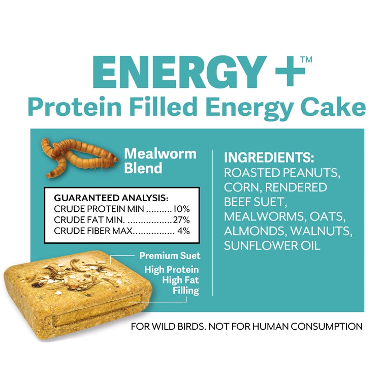 Energy+ Suet Cakes with Mealworm Filling, Set of 12