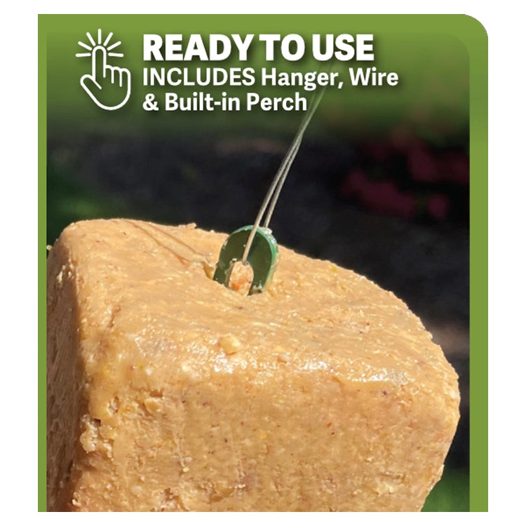 NaturALL RTU Peanut Butter Bar, Set of 4 or 8, features a no-melt bird-feeding block with hanger, wire, and built-in perch, perfect for year-round feeding.