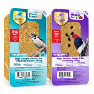 Hungrybird Energy+ Peanut Butter and Blended Berry suet bars, two 17 oz packages.