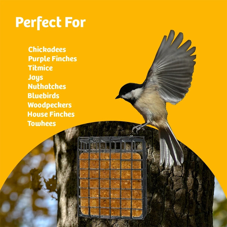A bird feeder mounted on a tree trunk, shown with a chickadee perched on the feeder. The image has a bright yellow background with white text listing bird species such as chickadees, purple finches, titmice, jays, nuthatches, bluebirds, woodpeckers, house finches, and towhees.