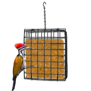 A square hanging bird feeder with a black metal grid and tan seed blocks, shown against a white background with a woodpecker perched on the left side.