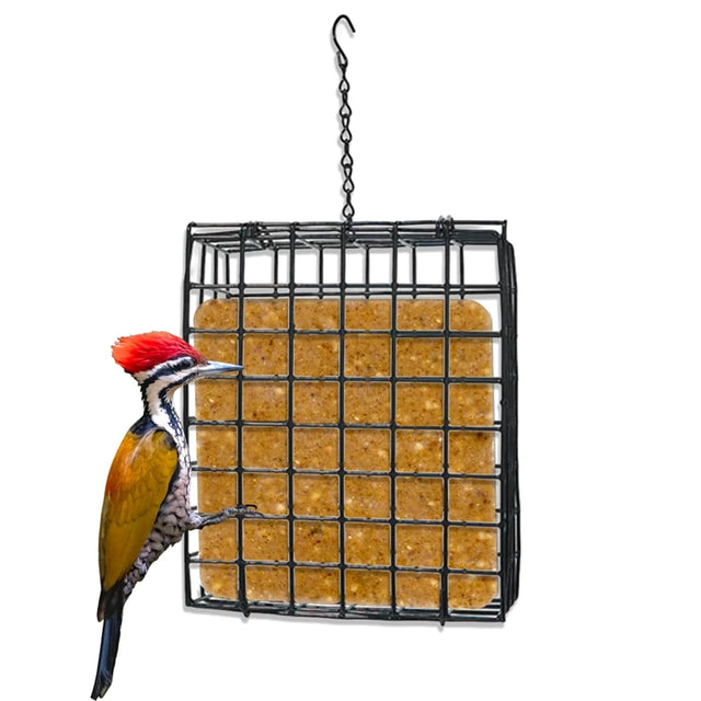 A square hanging bird feeder with a black metal grid and tan seed blocks, shown against a white background with a woodpecker perched on the left side.