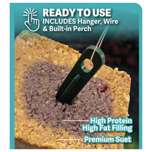 Energy+ RTU Bar with Blended Berry Filling, Set of 4 or 8, ready-to-use suet cake with built-in perch, hanger, and wire; high-protein, high-fat bird energy source.