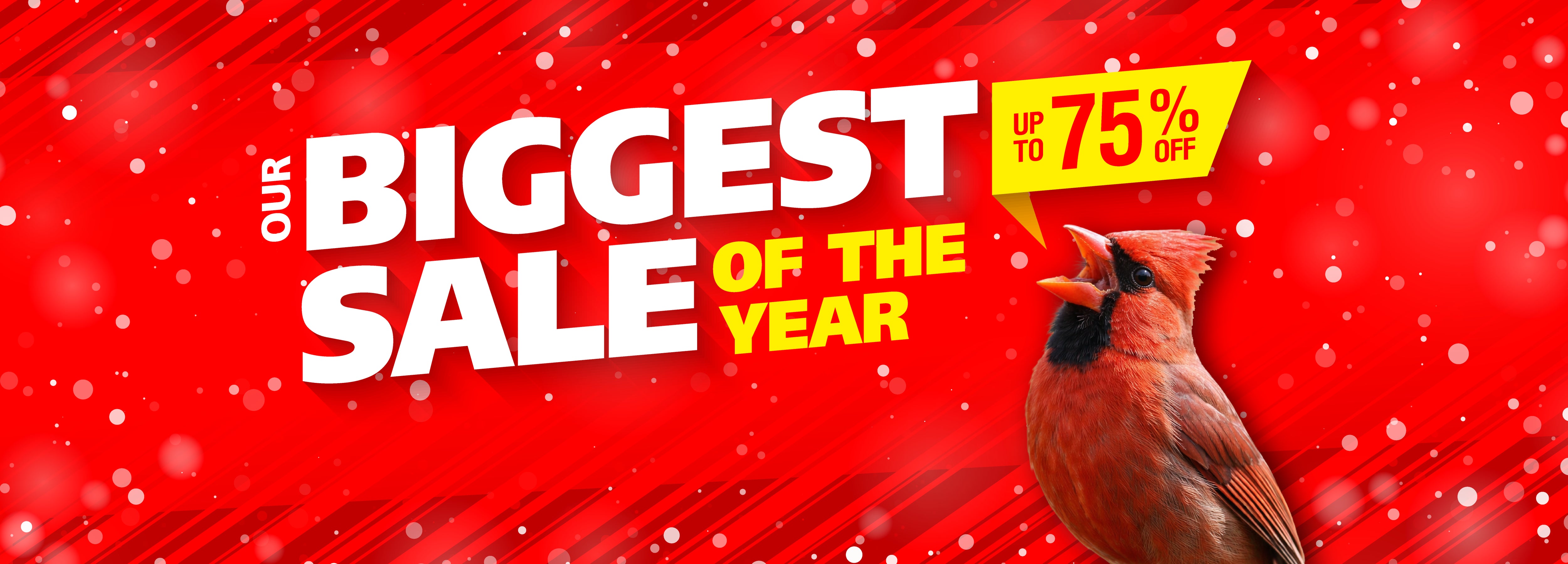 Biggest Sale of the year. Up to 75% off. Red cardinal tweeting the text. 
