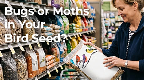 A woman in a grocery store aisle holds a bag of bird seed next to a shopping cart, with large overlaid text reading 'Bugs or Moths in Your Bird Seed?'. Shelves behind her are stocked with various bird seed bags.