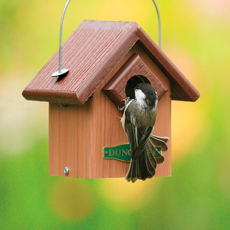 Duncraft Songbird house with a bird entering and a green background. 