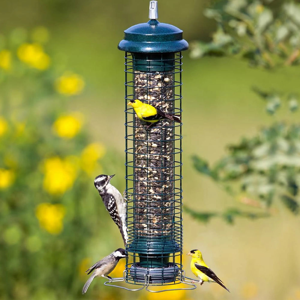 Brome Squirrel Solutions 150 Tube Feeder.  Hanging bird feeder with birds eating bird seed. 