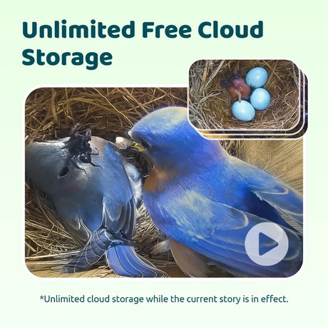 Birdfy Ebony Nest Birdhouse with Camera featuring two bluebirds in a nest, robin-blue eggs, and chick. Offers unlimited free cloud storage for captured footage.