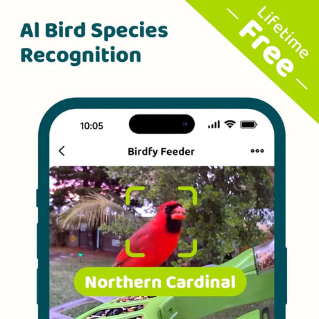 Birdfy Feeder 2 Duo - Bird Feeder with Camera, showcasing AI bird recognition of a Northern Cardinal on screen. Features lifetime free app and triple-lens system.