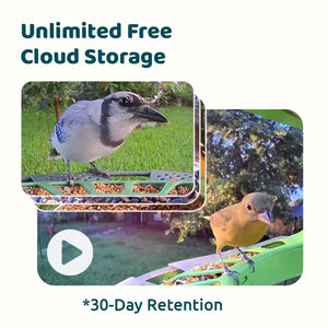 Birdfy Feeder 2 Duo - Bird Feeder with Camera, showcasing a blue jay and songbird feeding, highlighting cloud storage, AI bird recognition, and multiple camera lenses.