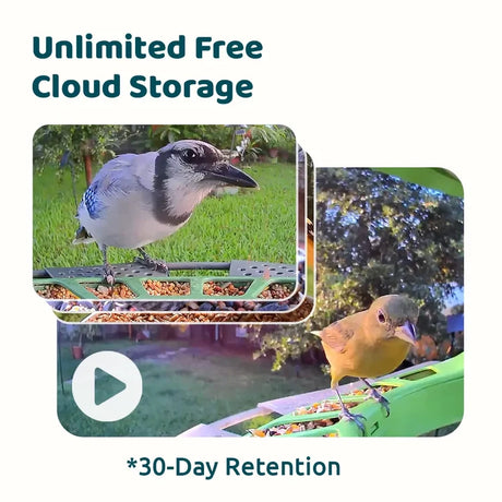 Birdfy Feeder 2 Duo - Bird Feeder with Camera, showcasing a blue jay and songbird feeding, highlighting cloud storage, AI bird recognition, and multiple camera lenses.