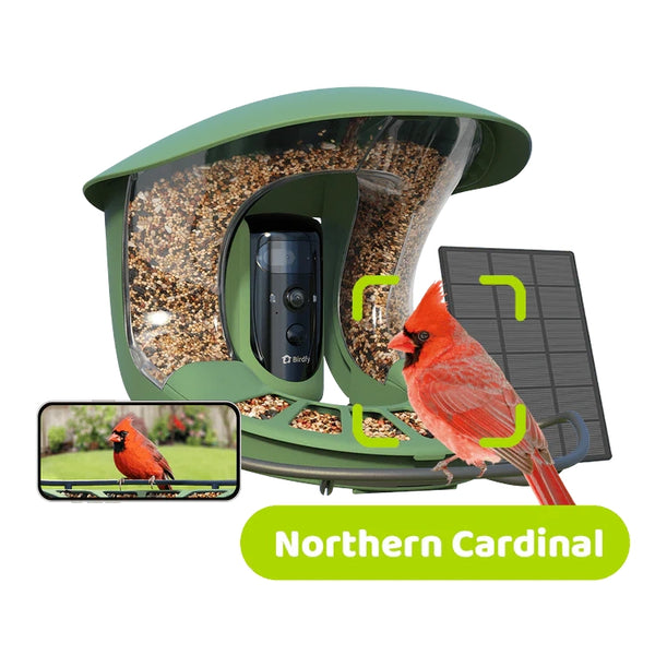 BirdfyFeeder2Pro_A_grande.webp