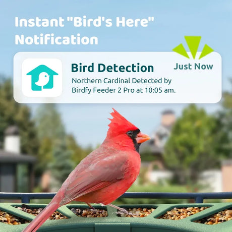 Birdfy Bird Feeder 2 Pro with Camera shows a cardinal on the tray, featuring instant bird detection notifications via the Birdfy app.