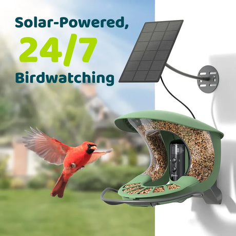 Birdfy Bird Feeder 2 Pro with Camera: solar-powered feeder with integrated camera, featuring AI for bird identification, shown with a cardinal approaching.