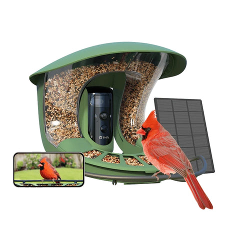 Birdfy Bird Feeder 2 Pro with Camera, solar-powered, featuring a see-through seed hopper, live-streaming camera, and solar panel, with a cardinal and smartphone display.