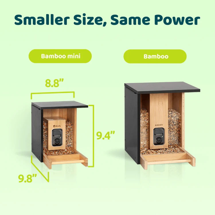 Birdfy Mini Bamboo Bird Feeder with Camera, compact design, black roof, dual seed bins, AI for identifying 6,000+ bird species, eco-friendly bamboo and solar powered.
