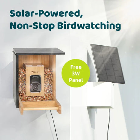Birdfy Mini Bamboo Bird Feeder with Camera, featuring a solar panel and two seed bins for diverse bird species, promoting eco-friendly, AI-powered birdwatching.