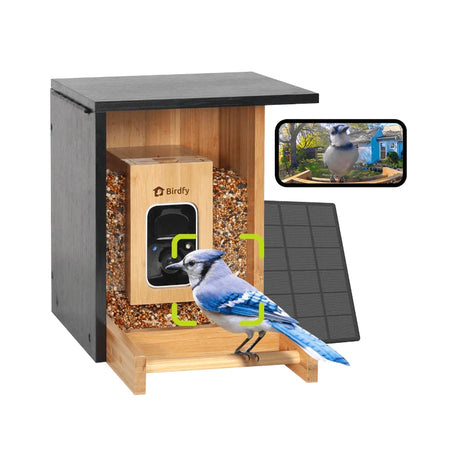 Birdfy Mini Bamboo Bird Feeder with Camera, featuring a blue jay, solar panel, dual seed bins, and smartphone view, offering AI-based bird identification.