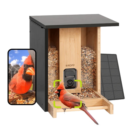 Birdfy Eco-friendly Bamboo Smart Bird Feeder with camera, solar panel, and dual seed bins, featuring live bird identification on smartphone screen.