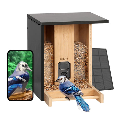 Birdfy Eco-friendly Bamboo Smart Bird Feeder with camera, solar panel, dual seed bins, and live streaming via phone app, featuring a blue jay on the perch.