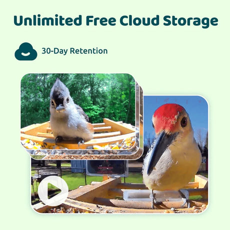 Birdfy Eco-friendly Bamboo Smart Bird Feeder promo with tufted titmouse and red-bellied woodpecker images, highlighting unlimited cloud storage and 30-day retention.