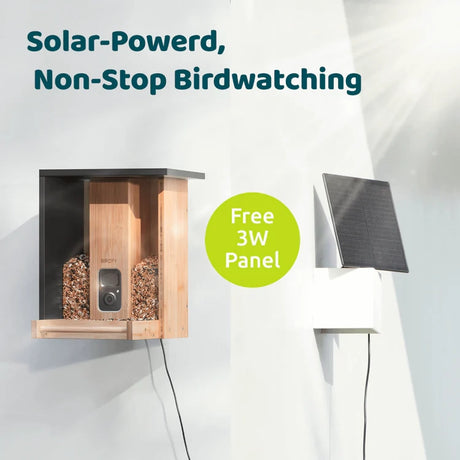 Birdfy Eco-friendly Bamboo Smart Bird Feeder with seed bins, front camera, and solar panel. Includes Birdfy app for species identification and tracking.