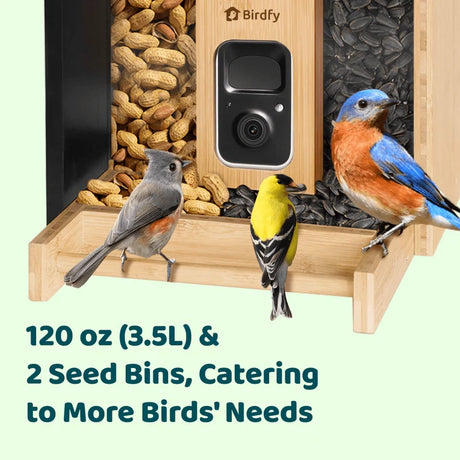 Birdfy Eco-friendly Bamboo Smart Bird Feeder with camera, dual seed bins, and three birds. Features bamboo body, 120 oz capacity, AI species identification.