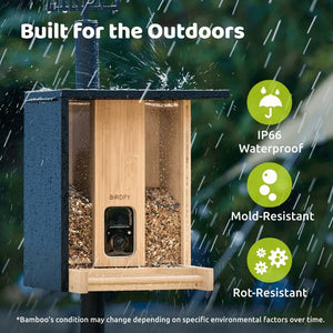 Birdfy Eco-friendly Bamboo Smart Bird Feeder with waterproof, mold, and rot-resistant design, features built-in camera, displaying birdseed and dual seed bins for diverse species attraction.