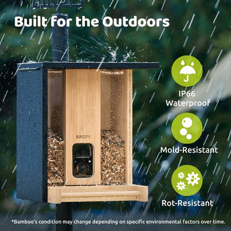 Birdfy Eco-friendly Bamboo Smart Bird Feeder with waterproof, mold, and rot-resistant design, features built-in camera, displaying birdseed and dual seed bins for diverse species attraction.