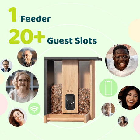 Birdfy Eco-friendly Bamboo Smart Bird Feeder with camera, showing “1 Feeder,” “20+ Guest Slots,” Wi-Fi, and smartphone icons, allowing remote streaming to multiple users.