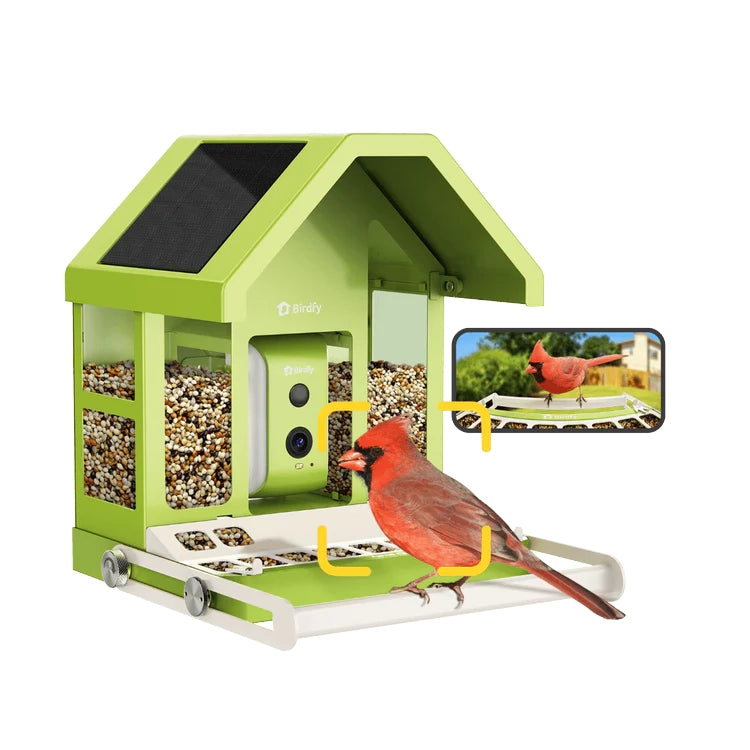 Birdfy Smart Metal Feeder with Camera, featuring solar panels and clear bins, captures a Northern Cardinal feeding, viewable via the Birdfy app with AI species identification.