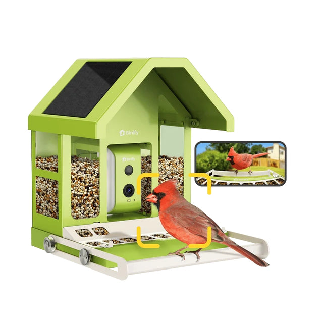 Birdfy Smart Metal Feeder with Camera, featuring solar panels and clear bins, captures a Northern Cardinal feeding, viewable via the Birdfy app with AI species identification.