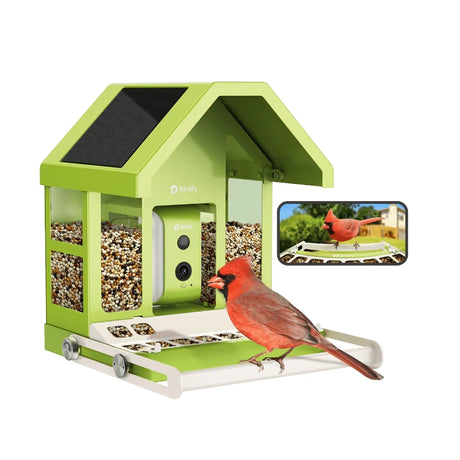 Birdfy Smart Metal Feeder with Camera showing a red cardinal on the tray, featuring solar panels and a built-in camera for bird watching.