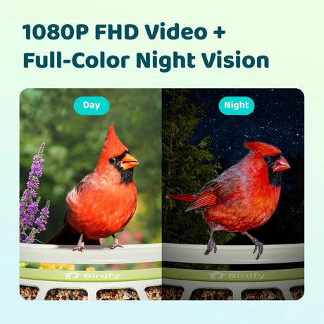Birdfy Smart Metal Feeder with Camera showcasing day and full-color night vision with a red cardinal on the feeder, highlighting its durability and AI bird identification.