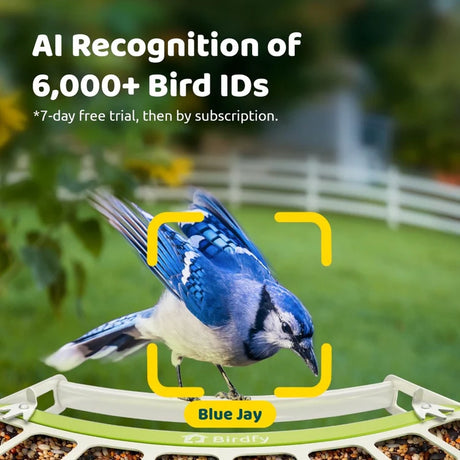 Birdfy Smart Metal Feeder with Camera showing a Blue Jay identified by AI, featuring solar panels and a durable, rust-resistant design for bird identification.
