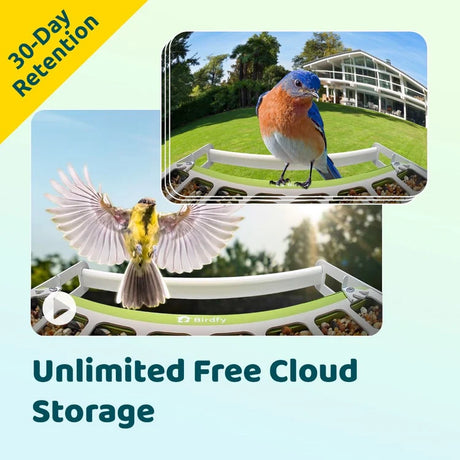 Birdfy Smart Metal Feeder with Camera capturing two songbirds, showcasing its curved rail, video capability, and promise of unlimited free cloud storage.