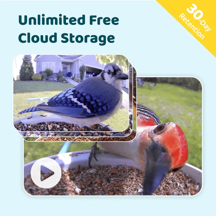 Birdfy Blue Solar Powered Bird Feeder with Camera offers unlimited cloud storage, showcasing backyard birds via app with AI species recognition and video playback.