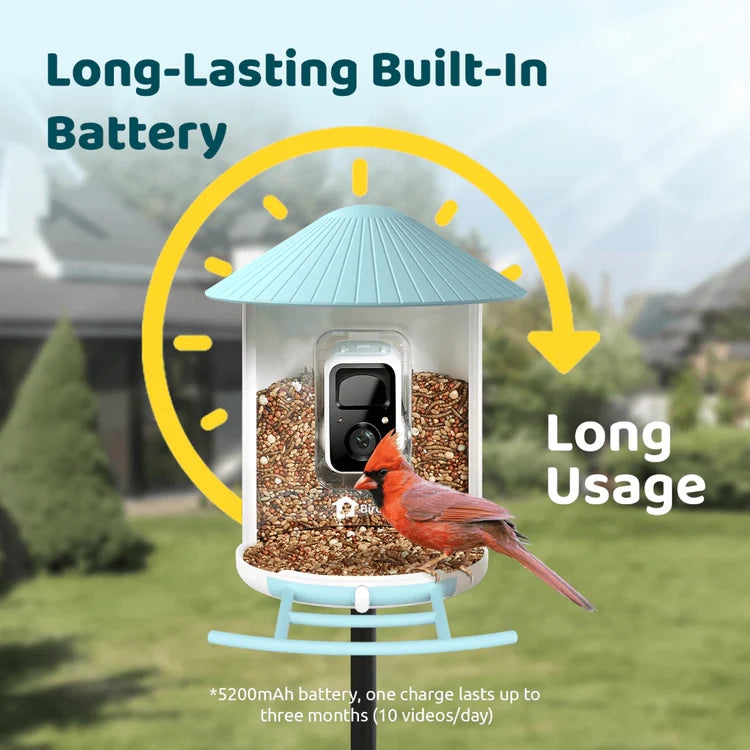 Birdfy Blue Solar Powered Bird Feeder with Camera & Solar Panel, featuring a Northern Cardinal, highlighting its long-lasting battery and AI bird recognition capabilities.
