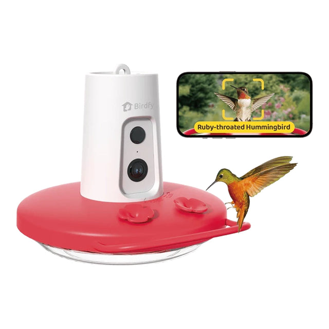 Birdfy Ruby Hummingbird Feeder with Camera, showing a perched hummingbird and smartphone displaying live video and AI identification of the Ruby-throated Hummingbird.