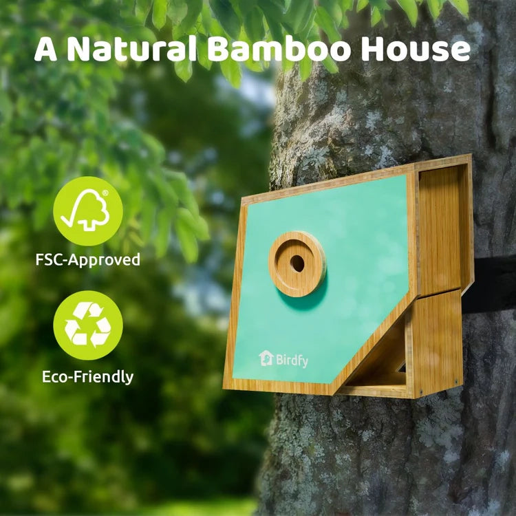 Birdfy Nest Polygon - Smart Birdhouse with Camera: Eco-friendly bamboo design, mint-green finish, circular entry, mounted on tree, highlighting FSC approval and sustainability features.