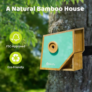 Birdfy Nest Polygon - Smart Birdhouse with Camera: Eco-friendly bamboo design, mint-green finish, circular entry, mounted on tree, highlighting FSC approval and sustainability features.
