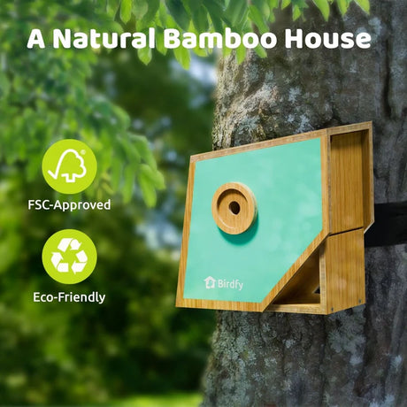 Birdfy Nest Polygon - Smart Birdhouse with Camera: Eco-friendly bamboo design, mint-green finish, circular entry, mounted on tree, highlighting FSC approval and sustainability features.